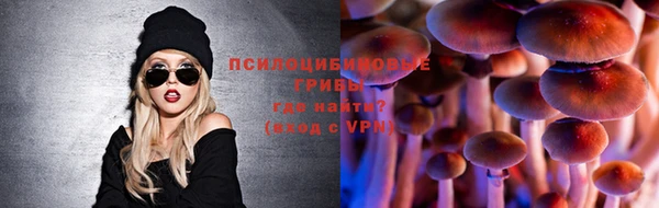 спайс Алексин