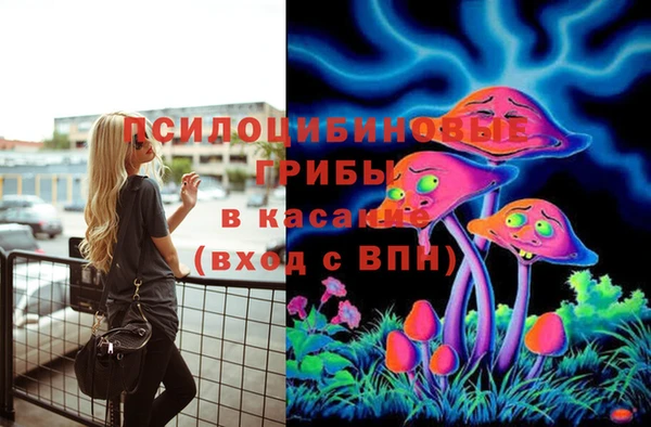 спайс Алексин