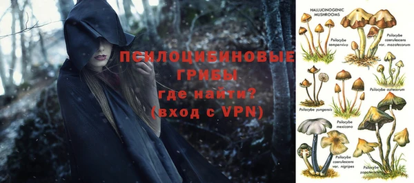спайс Алексин