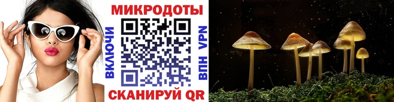 гидра сайт  Павловская  Галлюциногенные грибы Magic Shrooms  купить наркотик 