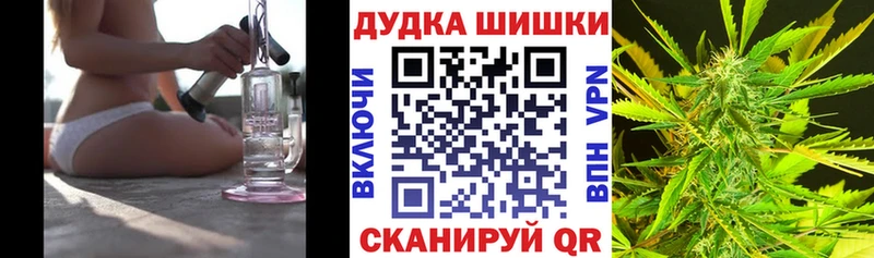 Каннабис гибрид  Павловская 